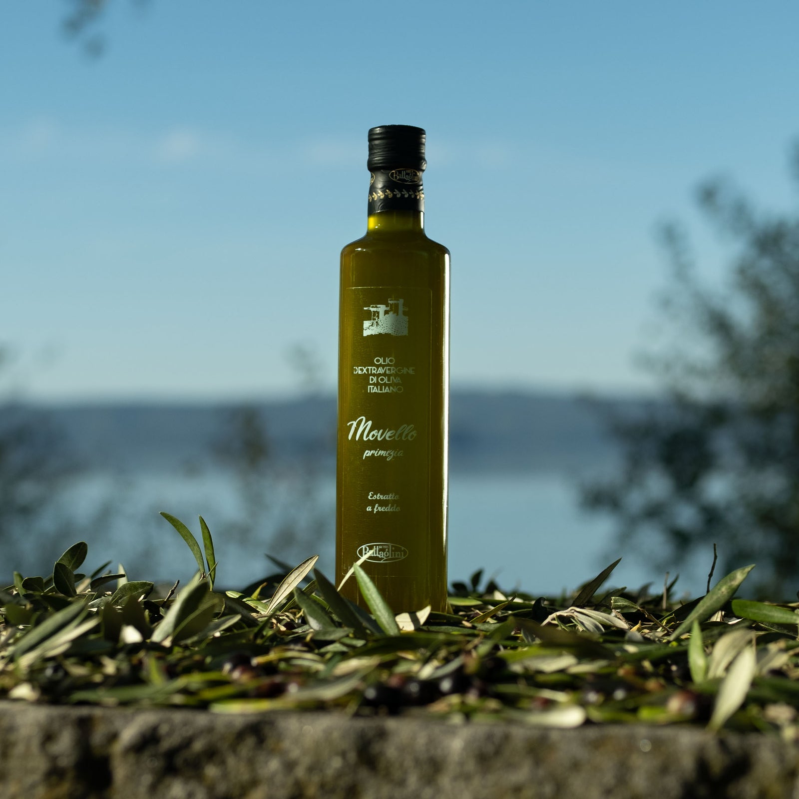 Limitowana oliwa Battaglini Novello Primizia 500 ml. Tłoczona w kilka godzin od zbioru. Intensywnie świeża, zielona, niefiltrowana.