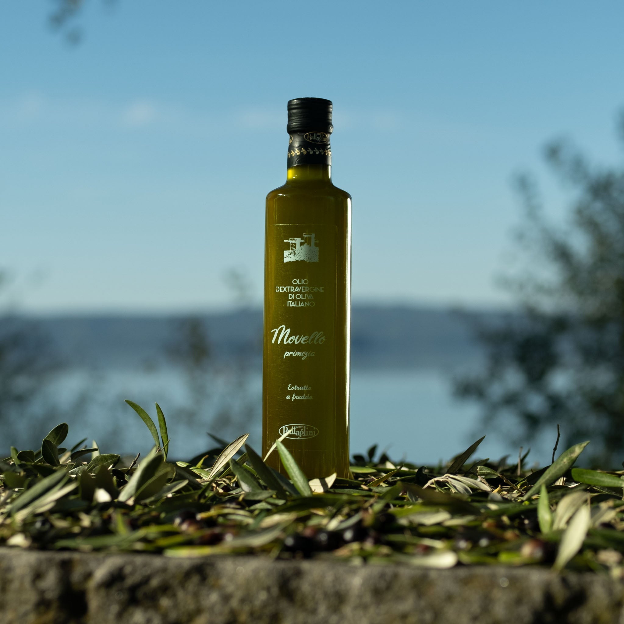 Limitowana oliwa Battaglini Novello Primizia 500 ml. Tłoczona w kilka godzin od zbioru. Intensywnie świeża, zielona, niefiltrowana.