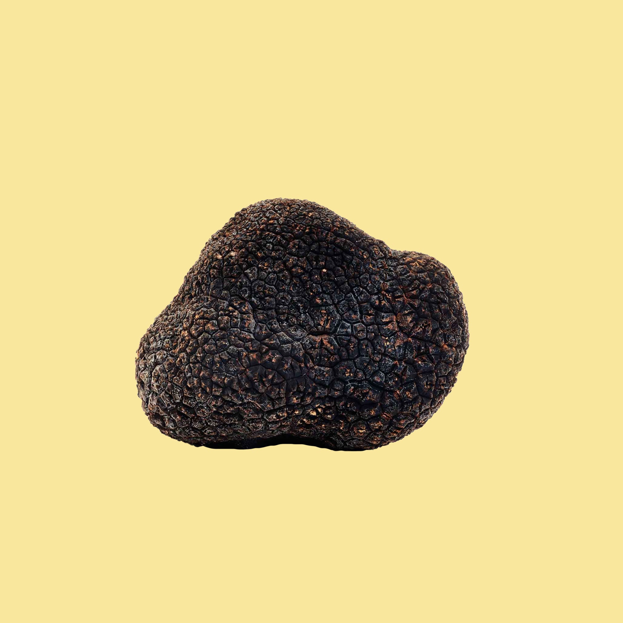 Tartufo Nero Condimento - Oliwa z Czarną Truflą